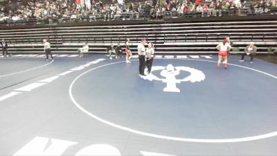 6A 155 lbs Semifinal - Naidelyn Lucio, Mountain Ridge vs Hallie Denney, Cedar Valley