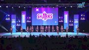 Savannah Sharks - Relentless [2025 L6 Limited Coed - XSmall Day 1] 2025 CHEERSPORT National All Star Cheerleading Championship