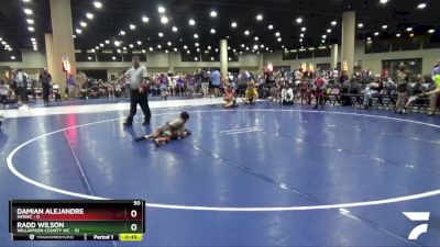 50 lbs Round 6 (8 Team) - Radd Wilson, Williamson County WC vs Damian Alejandre, SVRWC