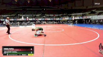138 lbs Placement (16 Team) - Piero Papili, Delaware Military Academy vs Grayson Cahill, Cox