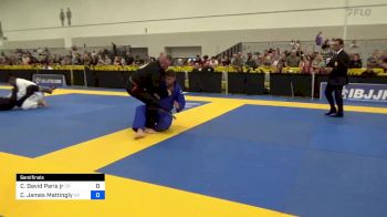 Clifford David Paris Jr vs Christopher James Mattingly 2024 World Masters IBJJF Jiu-Jitsu Championship