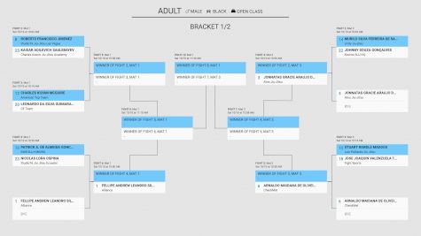 2020 IBJJF Pan Black Belt Absolute Division Brackets: What You Need To Know