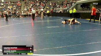 115 lbs Semifinal - Colton Shaffer, Moyer Elite vs Dominic Olson, The Best Wrestler