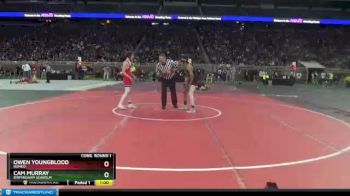 D1-112 lbs Cons. Round 1 - Owen Youngblood, Romeo vs Cam Murray, Birmingham Seaholm