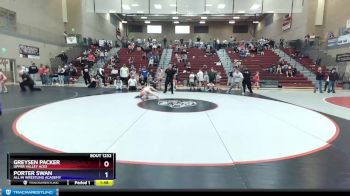 92 lbs Round 3 - Greysen Packer, Upper Valley Aces vs Porter Swan, All In Wrestling Academy