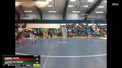 197 lbs Finals (2 Team) - Gabriel Hayes, Liberty vs Eamon Callaghan, Ithaca