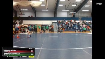 197 lbs Finals (2 Team) - Gabriel Hayes, Liberty vs Eamon Callaghan, Ithaca