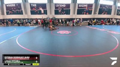 100 lbs Quarterfinal - Logan Mitchell, All American Wrestling Club vs Esteban Rodriguez Quinones, Hill Country Wildcats Wrestling Club