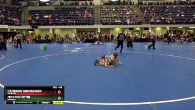 65 lbs Quarterfinal - Cameron Grossinger, MN Elite vs Nickson Petri, Ringers