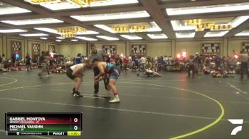 220 lbs Round 2 (6 Team) - Michael Vaughn, SVRWC vs Gabriel Montoya, Hewlett Bulldogs