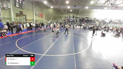75 lbs Quarterfinal - Payson Price, Brothers Of Steel vs Austin Peterson, Declo Stingers
