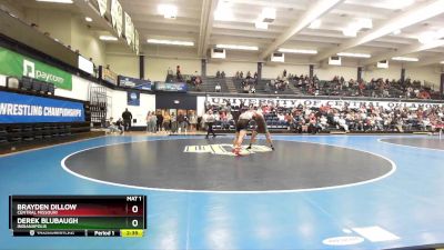 197 lbs Quarterfinal - Derek Blubaugh, Indianapolis vs Brayden Dillow, Central Missouri