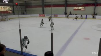 Replay: Home - 2023 Penguins U10 vs SS Kings U10 | Nov 25 @ 4 PM