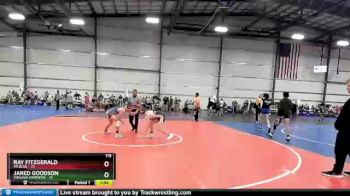 115 lbs Round 4 (6 Team) - Ray Fitzgerald, PA Blue vs Jared Goodson, Virginia Hammers