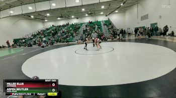 110 lbs 3rd Place Match - Millee Ellis, Kemmerer vs Aspen Beutler, Wind River