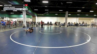 120 lbs Round Of 128 - Aidan Hare, TN vs Andrew Juliano, NY