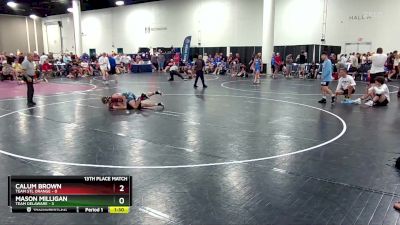 113 lbs Placement (16 Team) - Mason Milligan, Team Delaware vs Calum Brown, Team STL Orange