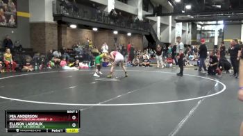 110 lbs Round 1 (4 Team) - Mia Anderson, Nebraska Wrestling Academy vs Ellison Ladeaux, Queens Of The Corn Red