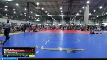 100 lbs Round 3 (4 Team) - Bryce Bush, NORTH CAROLINA WRESTLING FACTORY - BLUE vs Mason George, SHENANDOAH VALLEY WRESTLING CLUB
