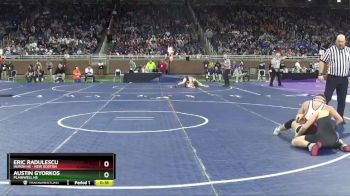 D2-126 lbs Cons. Round 1 - Austin Gyorkos, Plainwell HS vs Eric Radulescu, Huron HS - New Boston