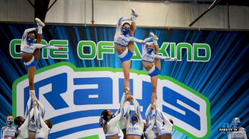 Hang Out With The New & Improved Cobalt Rays