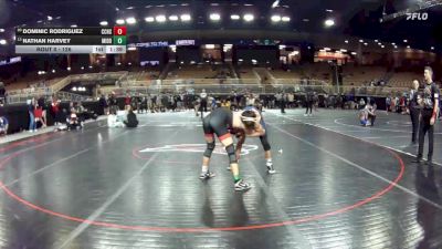 126 lbs Champ. Round 2 - Nathan Harvey, Middleburg vs Dominic Rodriguez, Christopher Columbus H S