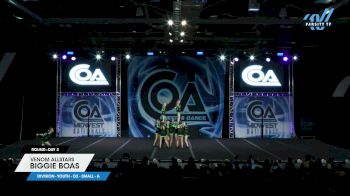 Venom Allstars - Biggie Boas [2025 L2 Youth - D2 - Small - A Day 2] 2025 COA Grand Nationals