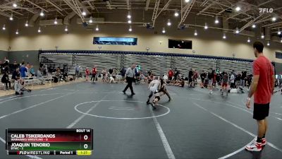 80 lbs Round 4 (8 Team) - Joaquin Tenorio, BTWC vs Caleb Tsikerdanos, Warhawks Wrestling