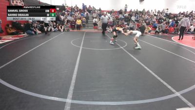 78-83 lbs Round 1 - Samuel Gross, Somerset vs Savino DeJuliis, Belle Vernon