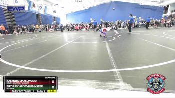 60 lbs Semifinal - Kalynda Smallwood, South Central Punisher vs Brynley Amyx-Rubinstein, Missouri