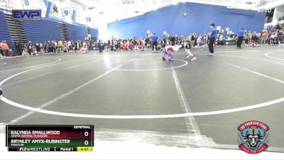 60 lbs Semifinal - Kalynda Smallwood, South Central Punisher vs Brynley Amyx-Rubinstein, Missouri