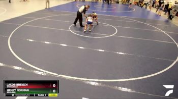 93 lbs Cons. Round 1 - Jacob Breisch, Springfield vs Henry Norman, Brainerd