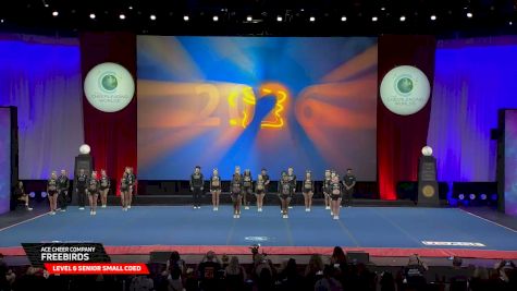 ACE Cheer Company - Freebirds [2026 L6 Senior Small Coed Finals] 2026 The Cheerleading Worlds