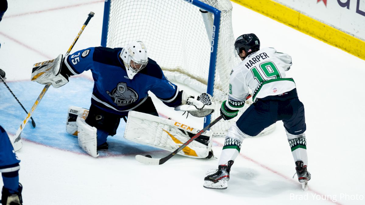 Spark Plug Patrick Harper Lights Up The ECHL With The Florida Everblades