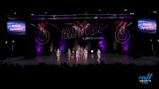 Dance Dynamics - Large Mini Lyrical [2022 Mini - Contemporary/Lyrical - Large Day 3] 2022 Encore Grand Nationals