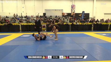 Christopher Edward Nunez vs Joshua Leonardo Wheeless 2024 World IBJJF Jiu-Jitsu No-Gi Championship