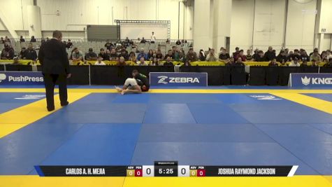 Joshua Raymond Jackson vs Carlos A. H. Mejia 2025 World IBJJF Jiu-Jitsu No-Gi Championship
