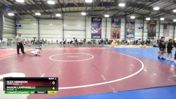 48 lbs Rd# 4- 2:00pm Friday Final Pool - Alex Herndon, Terps XPress vs Mason Lampariello, PA Blue