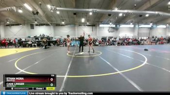 113 lbs Cons. Round 5 - Ethan Mora, Brighton vs Cade Liniger, Roosevelt