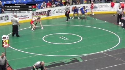 91 lbs Consi Of 8 #2 - Chloe Andrews, Burgettstown vs Addie Saussol, Canon-McMillan