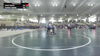 75 lbs 1st Place Match - Wyatt Ballay, McMinn Tribe vs Everett Harper, Williamson Co Wrestling Club