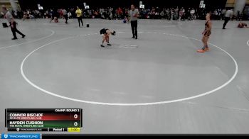 82 lbs Champ. Round 2 - Connor Bischof, MN Elite Wrestling Club vs Hayden Cushion, The Royal Wrestling Club