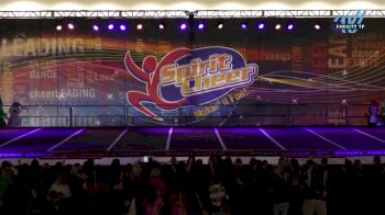 The Stingray Allstars - Shade [2024 L2 Senior - Small Day 1] 2024 Spirit Cheer Dance Grand Nationals & Cheer Nationals
