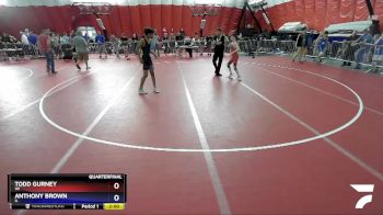 106 lbs Quarterfinal - Todd Gurney, WI vs Anthony Brown, IL