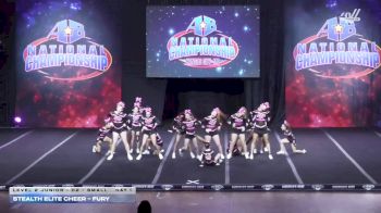 Stealth Elite Cheer - Fury [2025 L2 Junior - D2 - Small Day 1] 2025 America's Best Grand Nationals