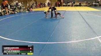 45 lbs Semis (4 Team) - Carter Barduson, Worthington vs Gattlin Rynkievich, Dassel-Cokato-Litchfield