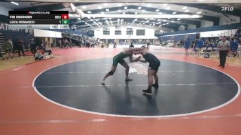 197 lbs Finals (2 Team) - Luca Romasco, York vs Tim Eddinger, Messiah