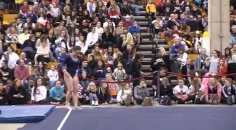 UCLA (Elyse Hopfner-Hibbs) - 9.875