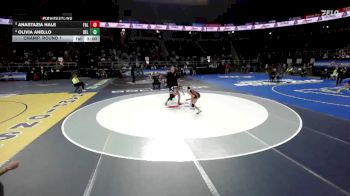 94 lbs Champ. Round 1 - Anastazia Hale, Falconer-6 vs Olivia Anello, Bellport-11