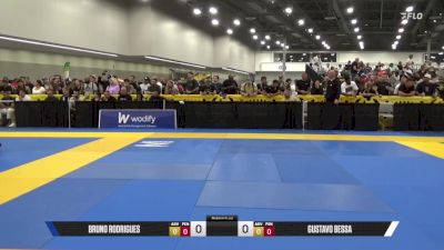 Gustavo Bessa vs Bruno Rodrigues 2025 World Master IBJJF Jiu-Jitsu Championship